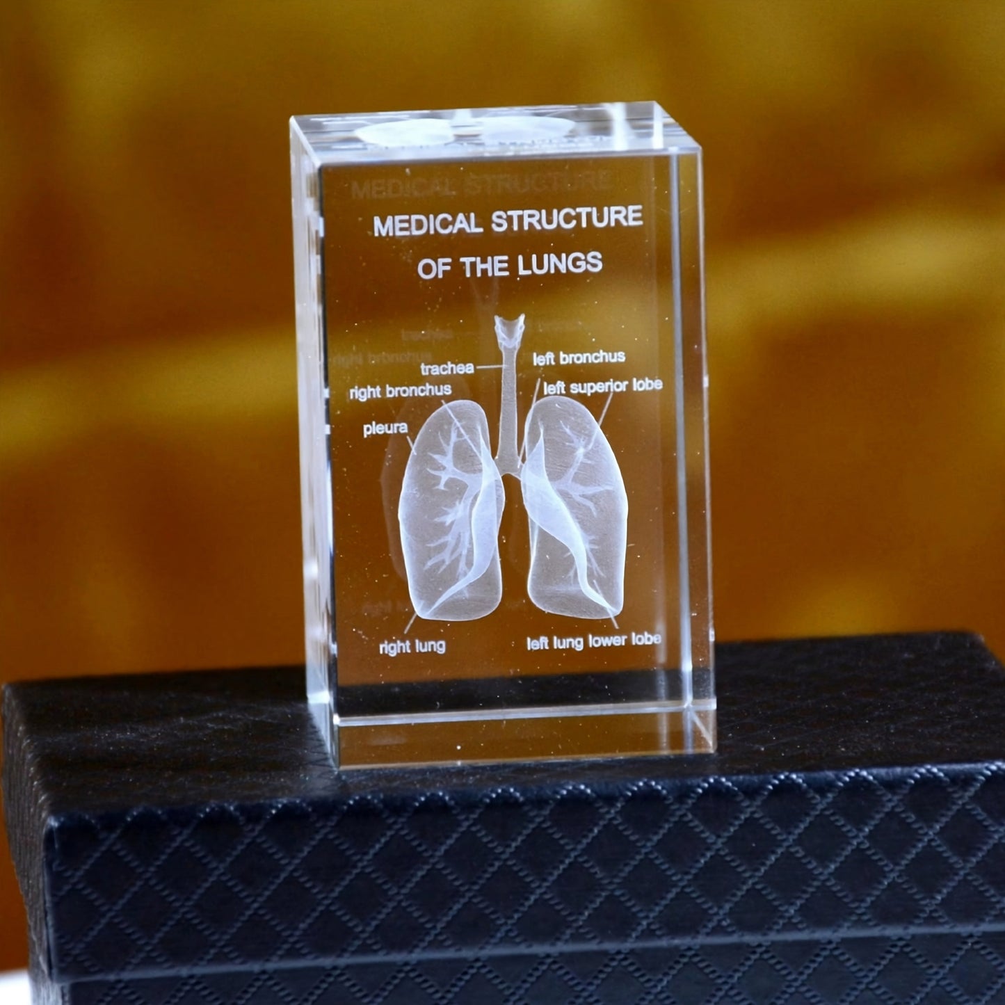 Desktrim™ | 3D Crystal Anatomical Models