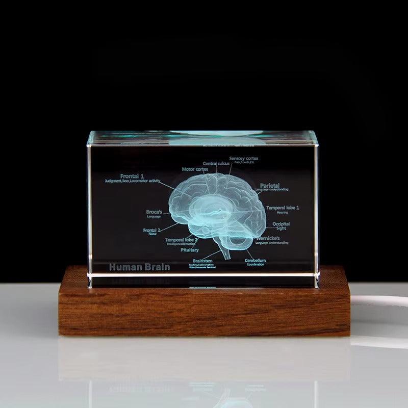 Desktrim™ | 3D Crystal Anatomical Models