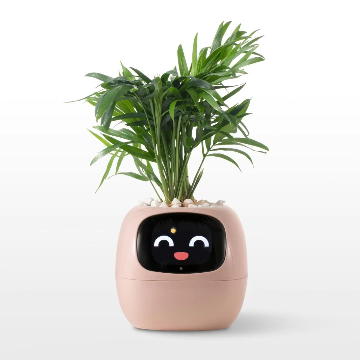 Desktrim™ | Smart Plant Pot with AI Sensors - Self Watering Planter App Control Indoor Garden Smart Home