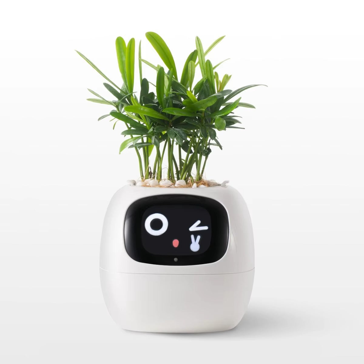 Desktrim™ | Smart Plant Pot with AI Sensors - Self Watering Planter App Control Indoor Garden Smart Home