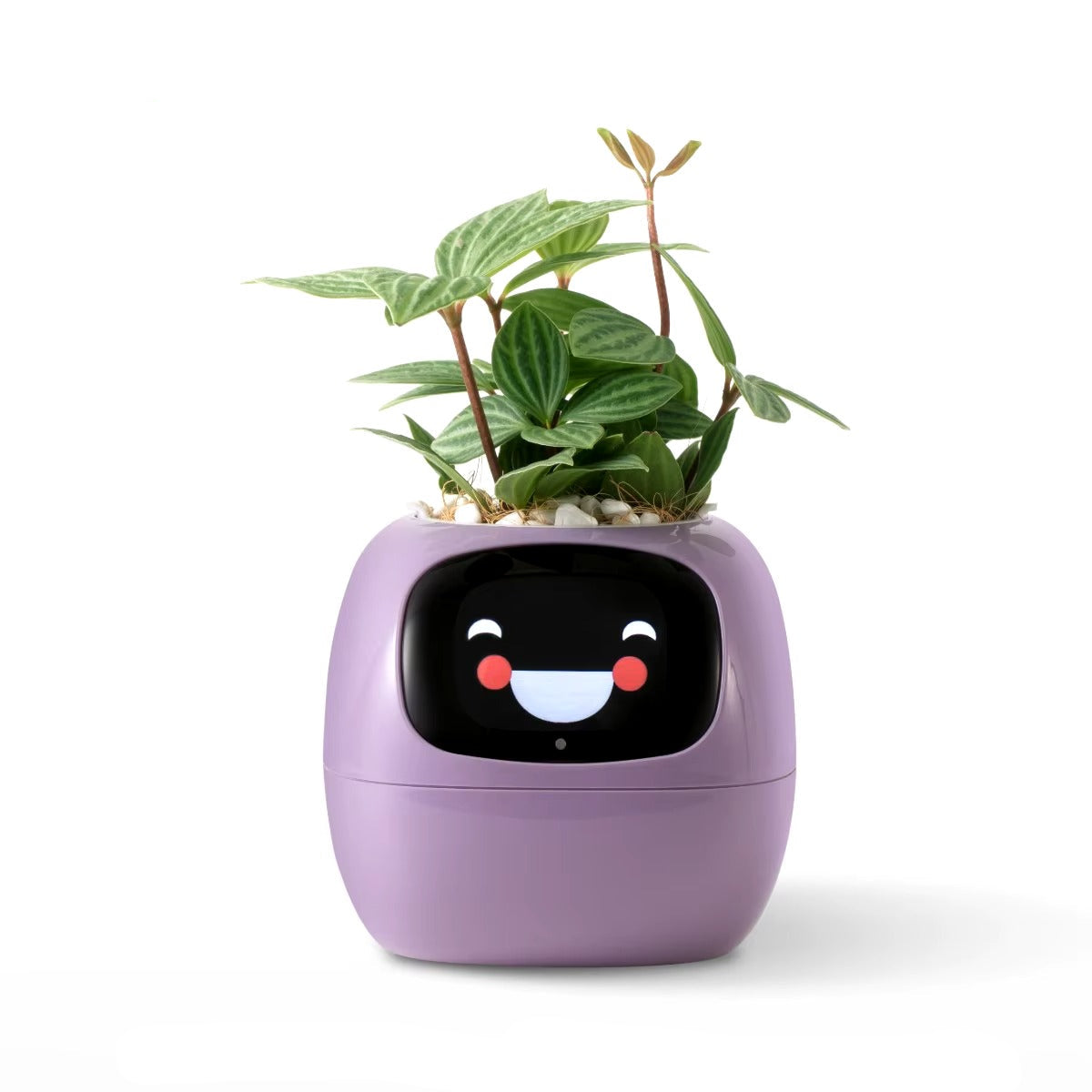 Desktrim™ | Smart Plant Pot with AI Sensors - Self Watering Planter App Control Indoor Garden Smart Home