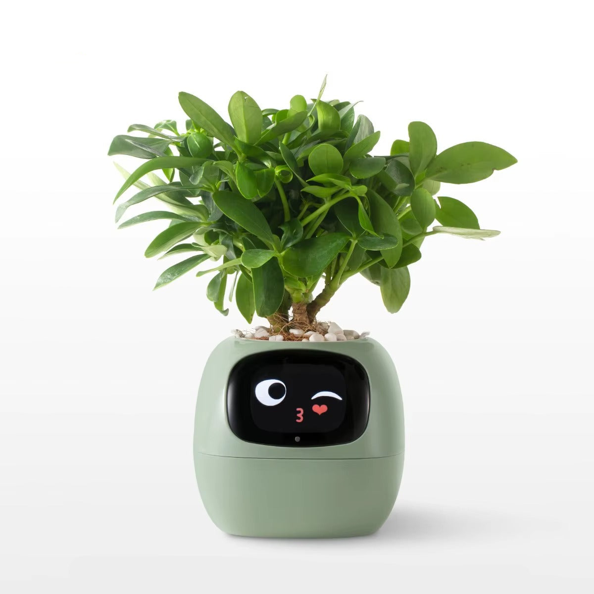 Desktrim™ | Smart Plant Pot with AI Sensors - Self Watering Planter App Control Indoor Garden Smart Home