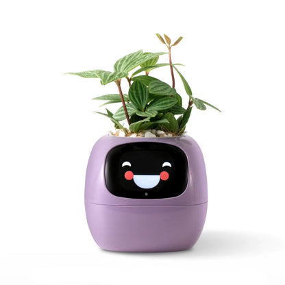 Desktrim™ | Smart Plant Pot with AI Sensors - Self Watering Planter App Control Indoor Garden Smart Home